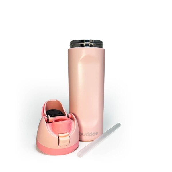 Buddee Bottle 600ml Dual Sip® leak proof & insulated double-walled bottle with built-in straw